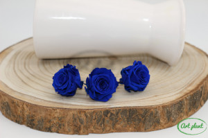 Mini Roze Albastru Blu03 - Img 2