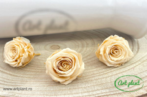 Mini Roze Champagne CHA01 - Img 2