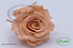 Mini Roze Peach Pea01 - Img 1