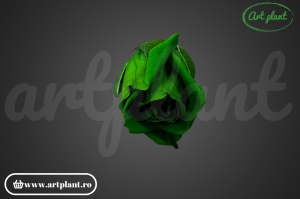 Miniroze Criogenate Emerald Green S - Img 1