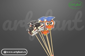 Set 6 toppere absolvire decorative pentru tort și aranjamente florale, design tematic festiv
