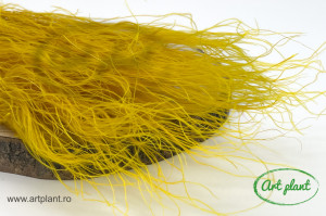 Stipa Galben - Img 2