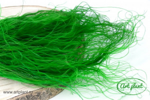 Stipa Verde - Img 2