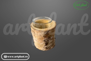 Suport rustic din trunchi de mesteacăn cu pahar sticlă montat în interior, decor natural pentru lumânări sau flori uscate – ArtPlant.ro