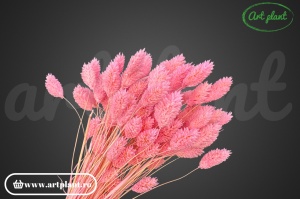 Talaris Light Pink - Img 1