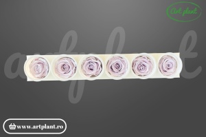 Trandafir criogenat Grey - Lila XL - Img 3