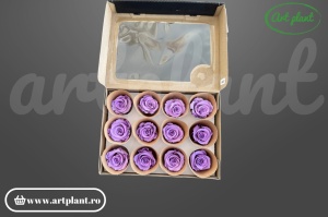Trandafir criogenat L Lila VIO03, floare naturală conservată pentru aranjamente florale