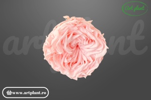 Trandafir criogenat Romantic roz deschis