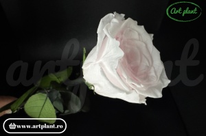 Trandafir criogenat Roz Pal Pin89 cu tijă, 30 cm - Img 2