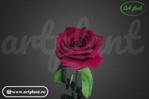 Trandafir criogenat Visiniu Pin02 cu tijă, 30 cm