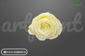 Trandafiri Criogenati 6cm Light Yellow