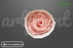 Trandafir criogenat 6cm Roz Deschis - Art Plant
