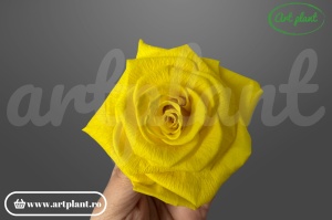 Trandafiri Criogenati 6cm Sunny Yellow