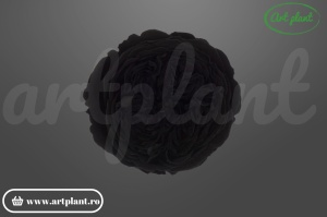Trandafiri criogenați de grădină Amelia Black, eleganți și rezistenți. Ideali pentru decoruri premium și aranjamente florale de durată.