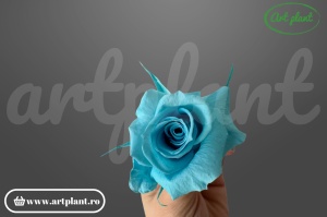 Trandafiri Criogenati Mini Cyan