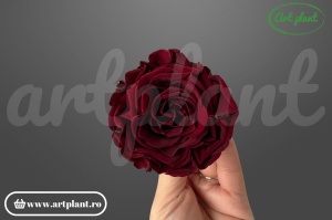 Trandafiri Criogenati Romantic Cabernet