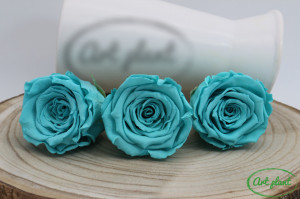 Trandafiri Criogenati XL Turquoise Blu02 - Img 1
