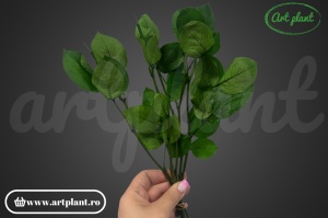 Tulpini stabilizate pentru trandafiri – Set de 5