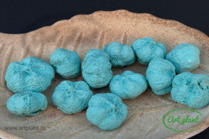 Usturoi uscat turquoise