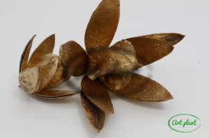 Wild Lily Auriu Gold 2 buc