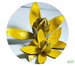 Wild Lily Galben, 2 buc - Img 3
