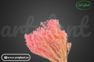Broom Light Pink Candy