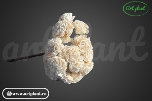 Buchet flori ming