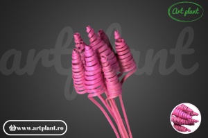 Cane cone mini roz