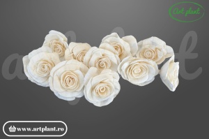 Cap begonie sola 6 cm cu petale ondulate și asimetrice, floare decorativă naturală din lemn de sola