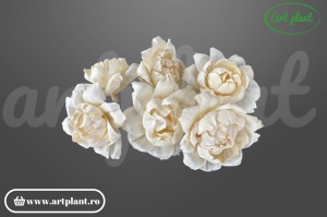 Cap boboc bujor sola 8 cm în formă de boboc, floare decorativă romantică din lemn de sola