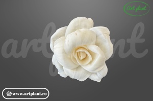 Cap bujor deschis sola 6 cm cu petale larg desfăcute, floare decorativă voluminoasă din lemn de sola