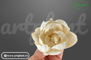 Cap camelie sola 6 cm cu petale simetrice în spirală, floare decorativă elegantă din lemn de sola