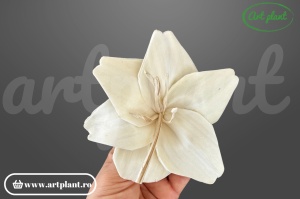Capete crin sola 10cm