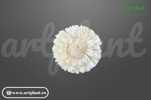 Cap floarea soarelui dublă sola 10 cm cu petale pe două rânduri, floare decorativă voluminoasă din lemn de sola