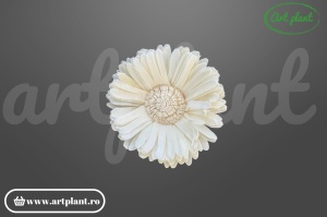 Cap floarea soarelui sola 10 cm cu petale alungite și centru brun, floare decorativă din lemn de sola