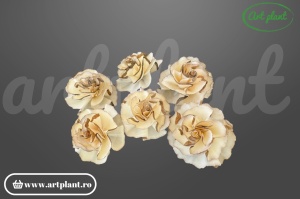 Capete garoafa bark sola 8cm,