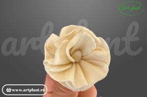 Capete hortensie sola 4cm