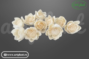 Cap lotus sola 6 cm cu petale conice în rânduri concentrice, floare decorativă zen din lemn de sola