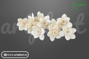 Cap orhidee pollen sola 6 cm cu centru pollen distinct, floare decorativă premium din lemn de sola