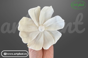 Cap Pluto sola 10 cm model compact cu petale dense, floare decorativă elegantă din lemn de sola