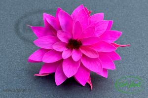 Dalia Criogenata Roz Fuchsia Pin07