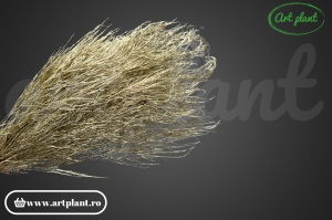 Ferigă Tree Tiki Criogenată Aurie
