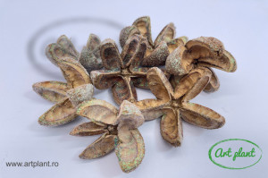 Flori din portocala natur & glitter