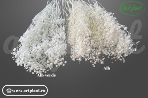 Gypsophila criogenată alb - Floarea Miresei stabilizată Art Plant