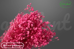 Gypsophila Roz Închis criogenată, buchet 100-130g, roz intens vibrant pentru aranjamente florale cu impact vizual