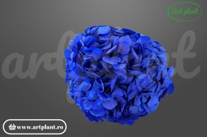 Hortensie stabilizată albastru royal Blu03, diametru 18–25 cm, origine Ecuador, Art Plant