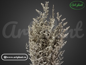 Limonium stabilizat crem