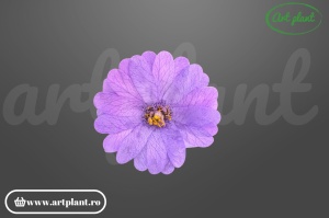 Margarete criogenate light purple