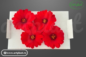 margarete criogenate roșii flori stabilizate pentru aranjamente florale