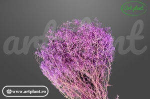 Mini gypsophila lila